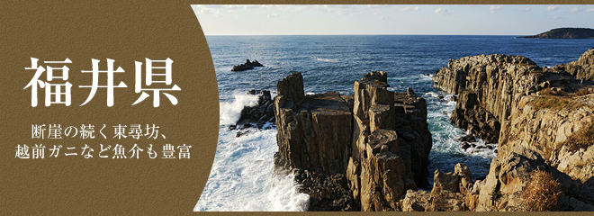 福井県の特徴が知りたい