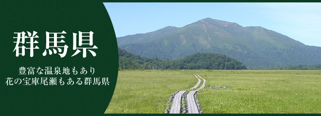 群馬県はこんなところ