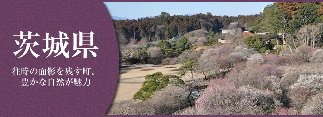 茨城県に引越して良かったこと