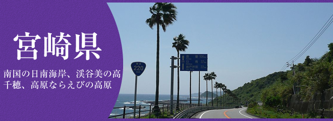 宮崎県の特徴を知りたい