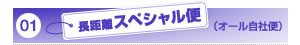 長距離スペシャル便