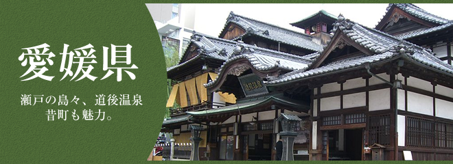 愛媛県のここが知りたい